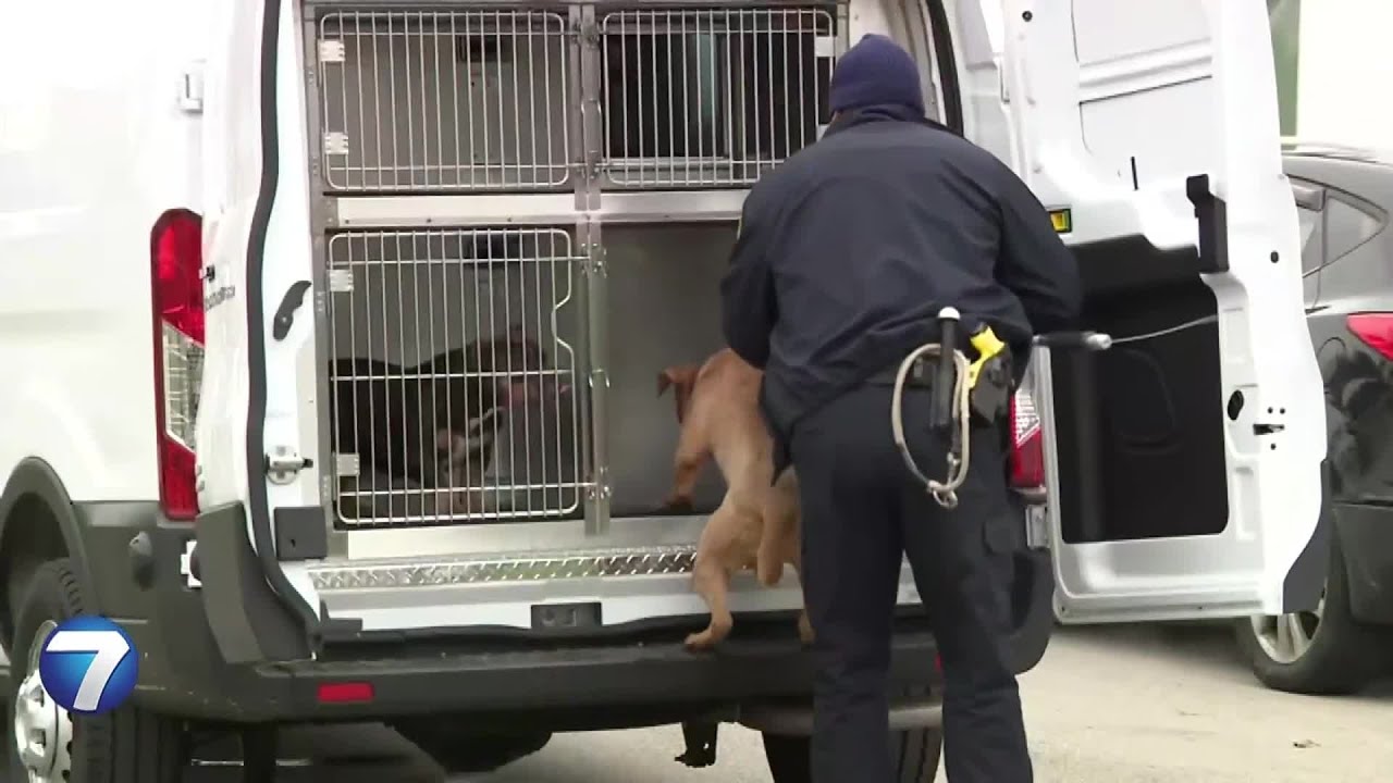 Dog attack severely injures woman, boy in Dayton neighborhood | WHIO-TV