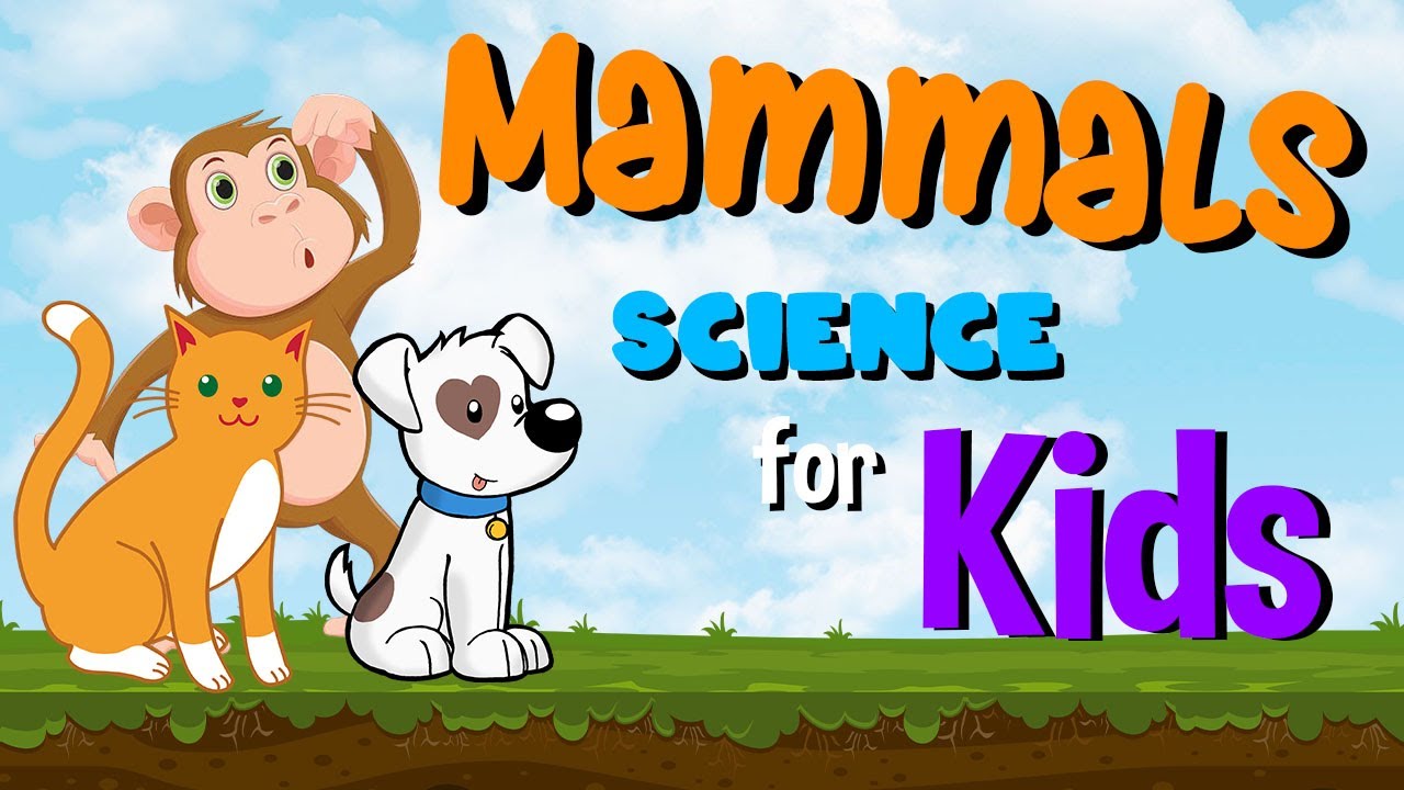 Mammals | Science for Kids