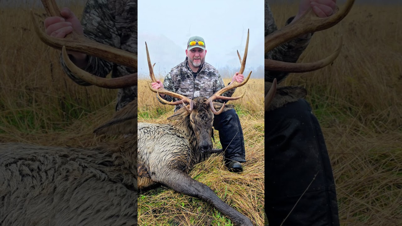 Elk Hunt 2025 – Thick Fog, Close Encounters | Witte City Outdoors