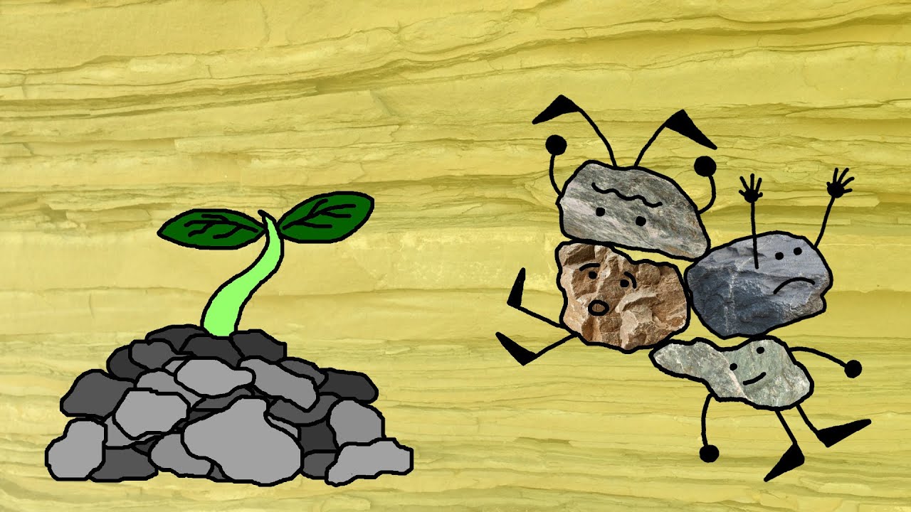 ROCAS SEDIMENTARIAS &iquest;Qu&eacute; proceso las forma?