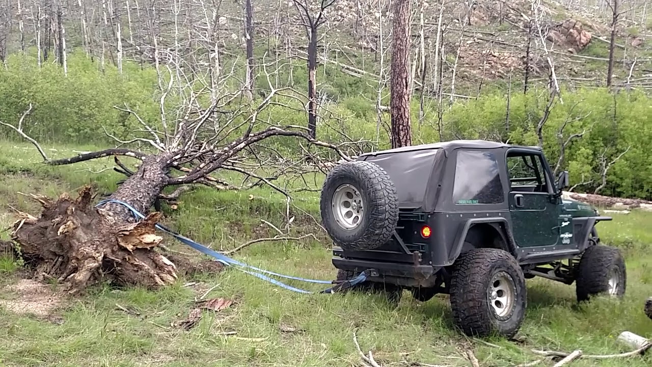 TDI Diesel TJ Jeep Wrangler Tree Pull