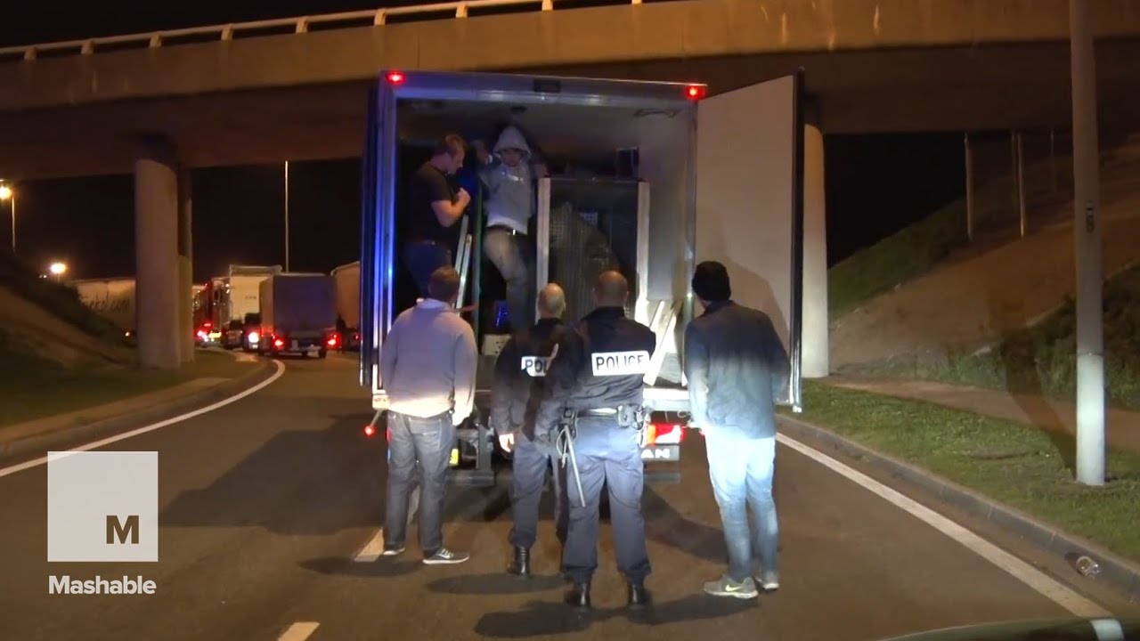 Migrants Trying to Flee Calais Shared a Truck Ride with a Polar Bear | Mashable News
