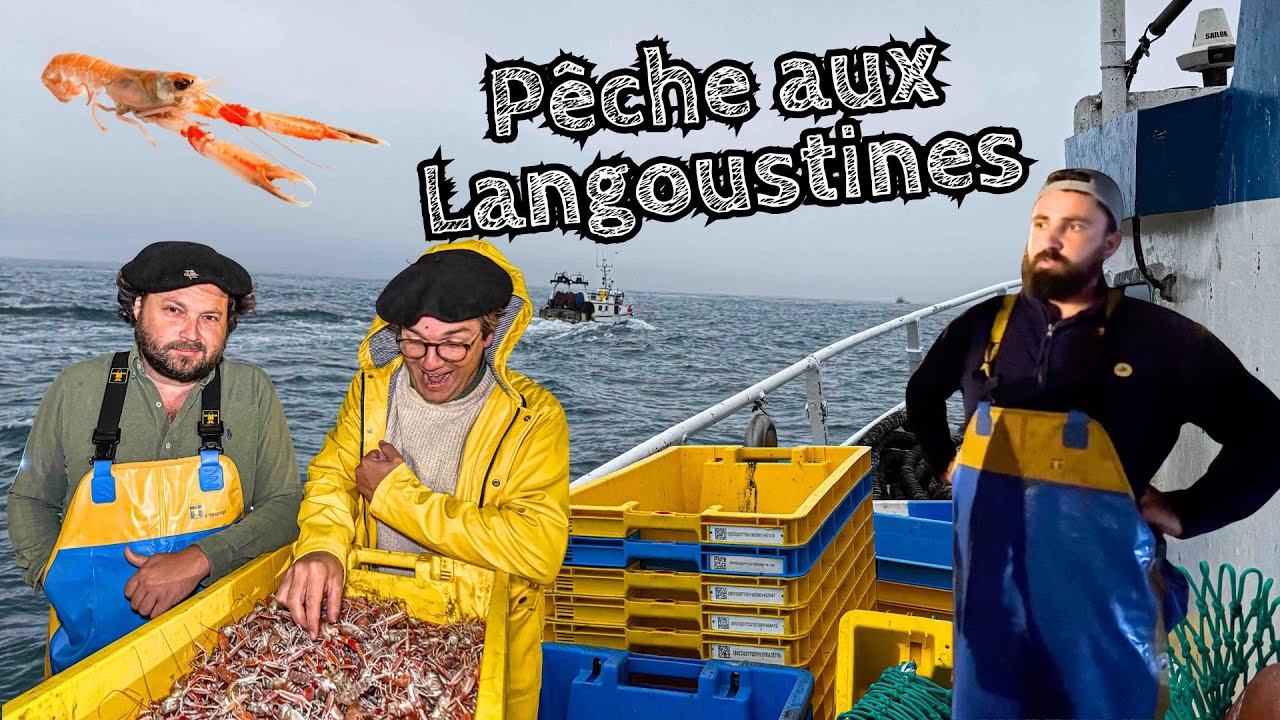 Pêche à la langoustine ! 🦞 Gueuleton