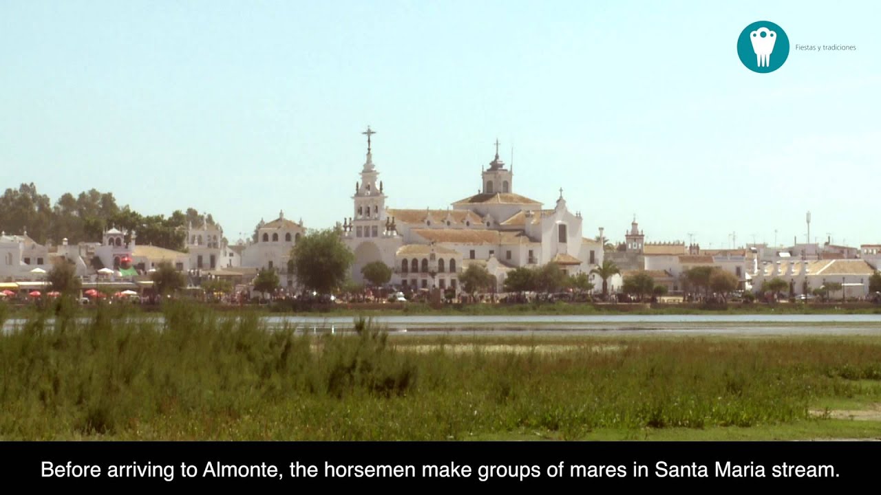 &lsquo;Saca de las Yeguas&rsquo; (Round-up of mares) in Almonte)