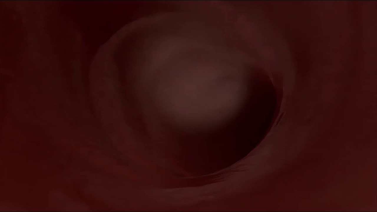 Dragon Full Tour [Vore]