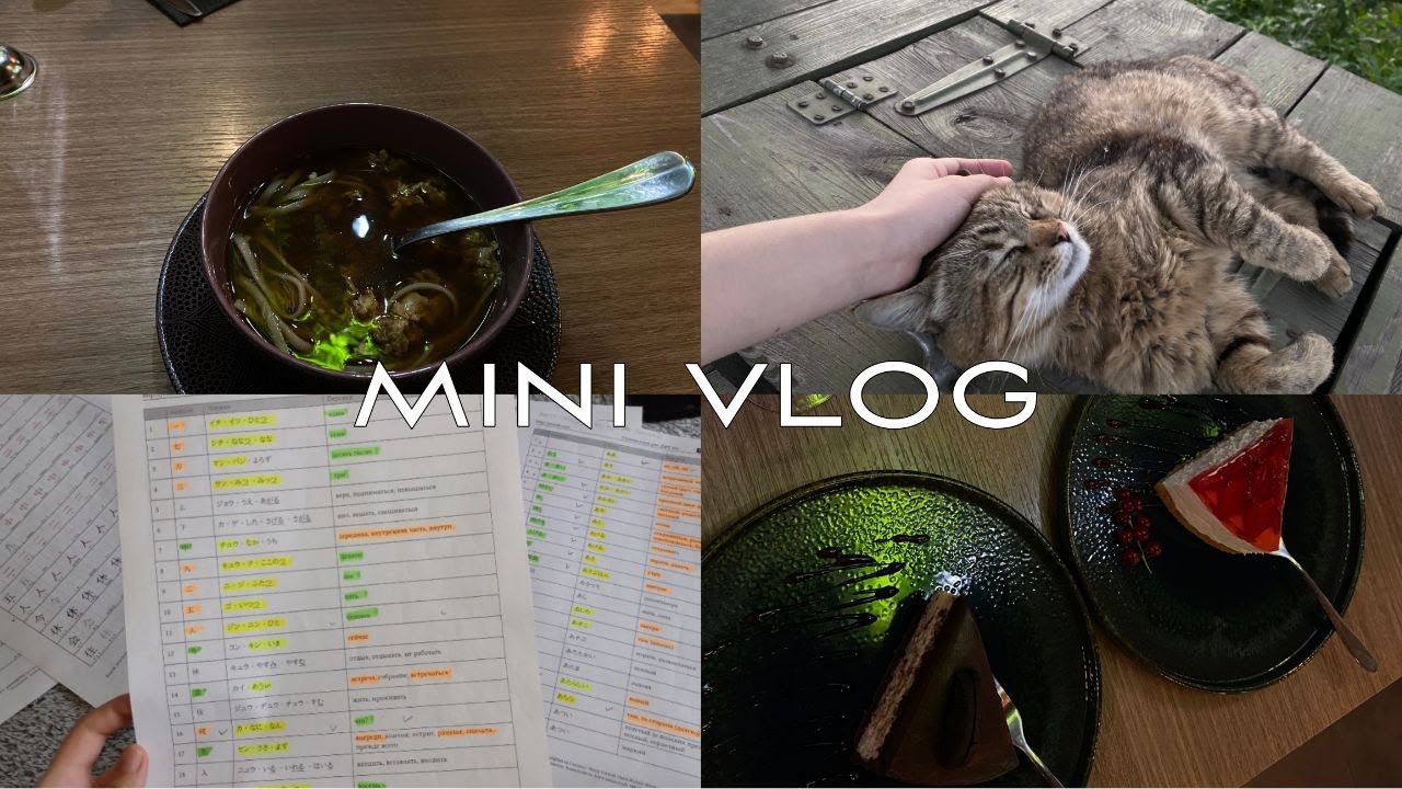 mini vlog | mini clean, mini study, mini travel