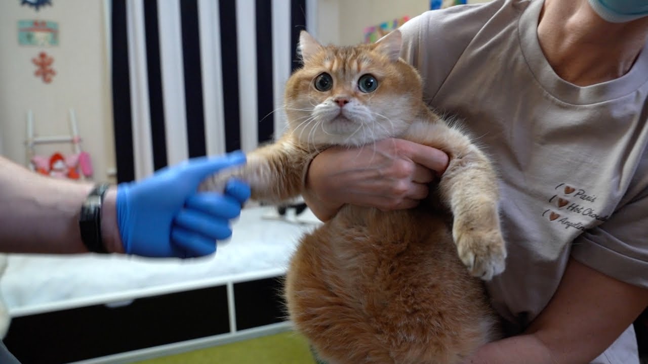 Vaccination!