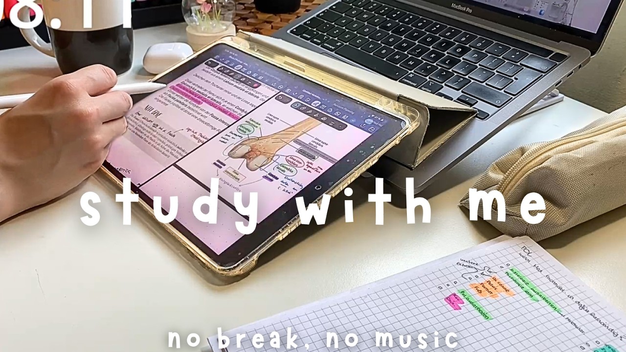 STUDY WITH ME  50/10🔥 3 Hours - anatomy  | cosy evening focus session | pomodoro  | no music