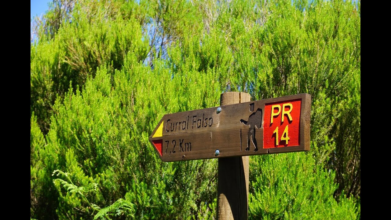 Walk in Madeira : PR14 - LEVADA DOS CEDROS