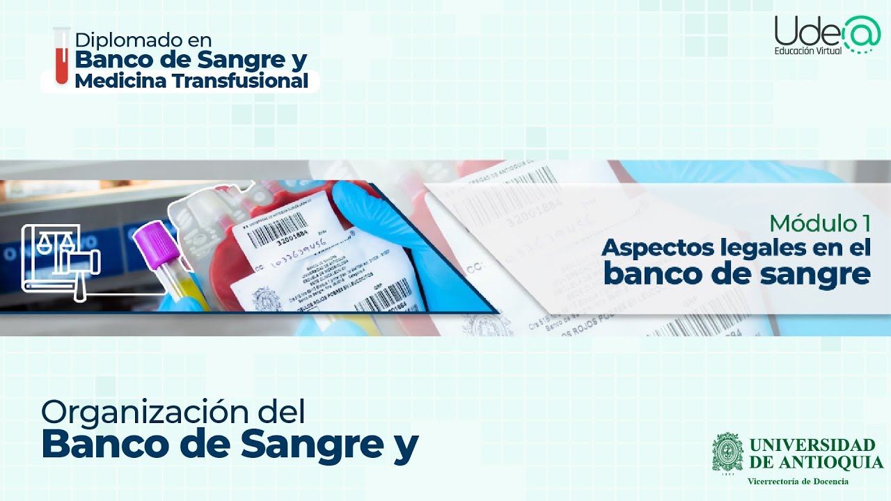 Organización del Banco de Sangre