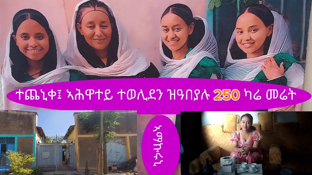 በተለይ ኣቦና እዛ መሬት ክንዲ ሓውክን ክንዲ ቤተሰብክን ፦ 🤲