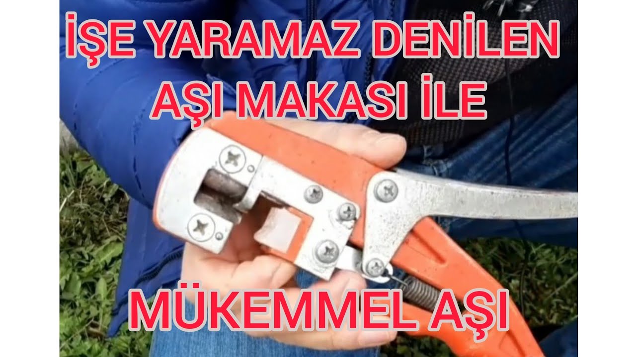 İşe yaramaz denilen Aşı makası ile omega aşı