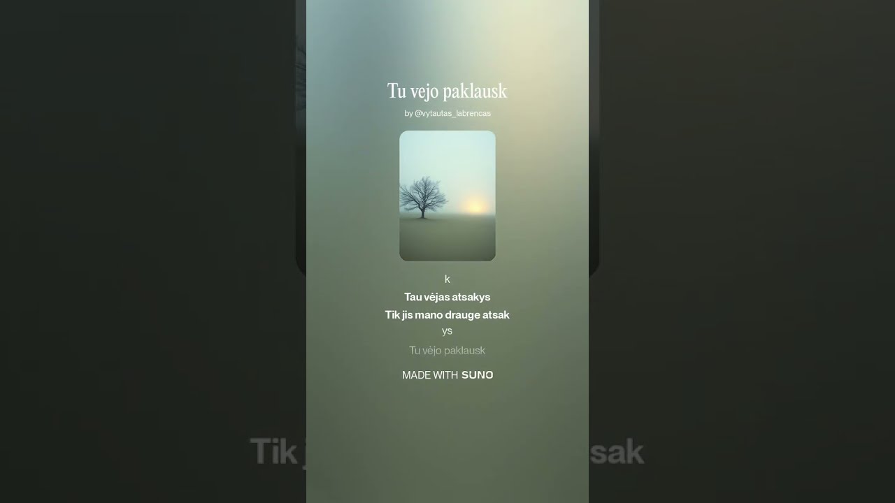 Tu vėjo paklausk v1