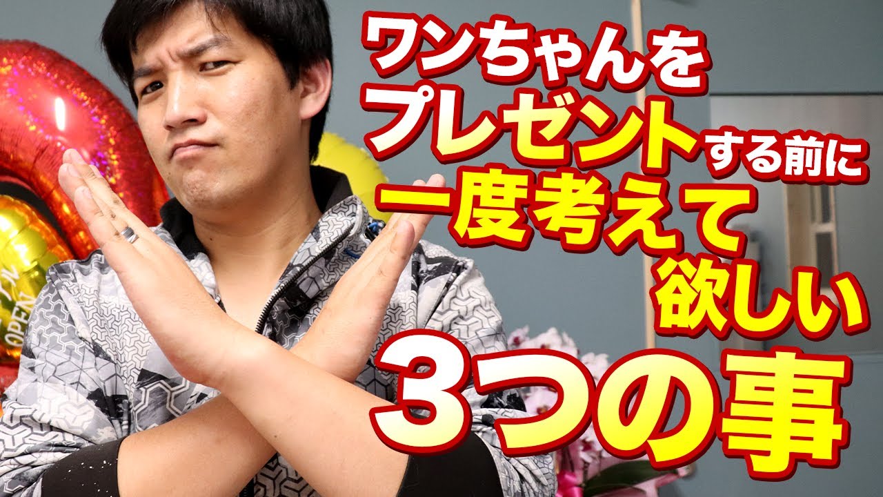 ワンちゃんをプレゼントする前に一度考えて欲しい3つの事