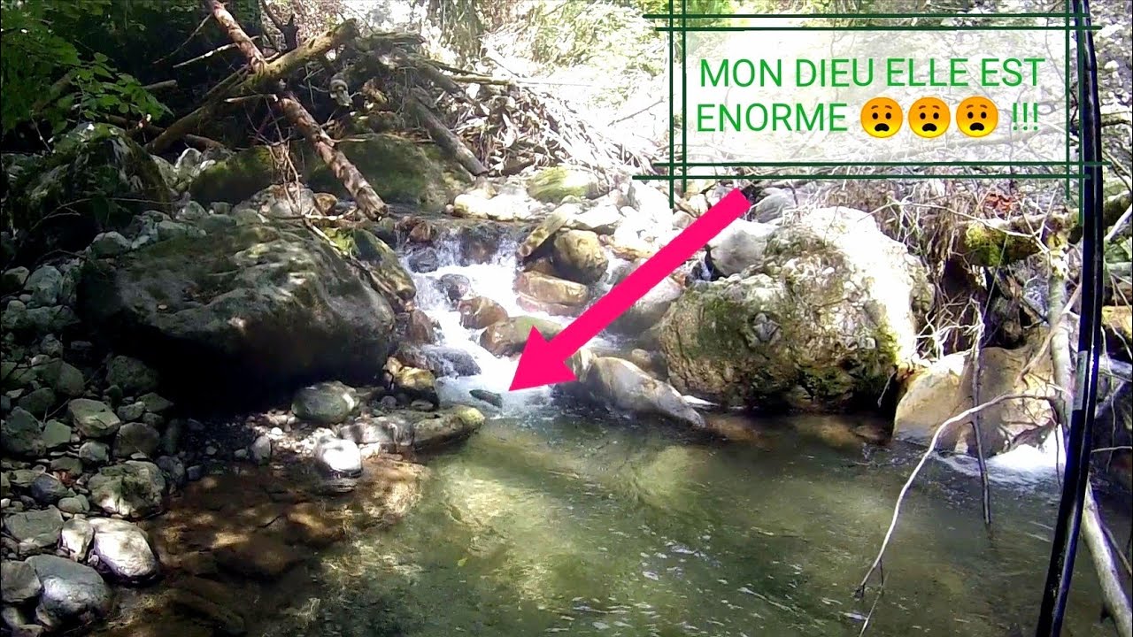 ENORME TRUITE FARIO sur un nouveau ruisseau !!! PECHE TOC EN MILIEU EXTREME 🎣🎣🎣 !