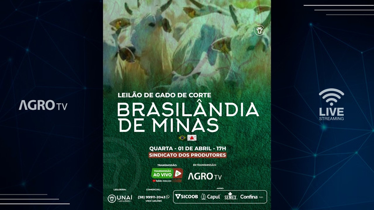 UNA&Iacute; LEIL&Otilde;ES - BRASILANDIA MG - 01/04/2026