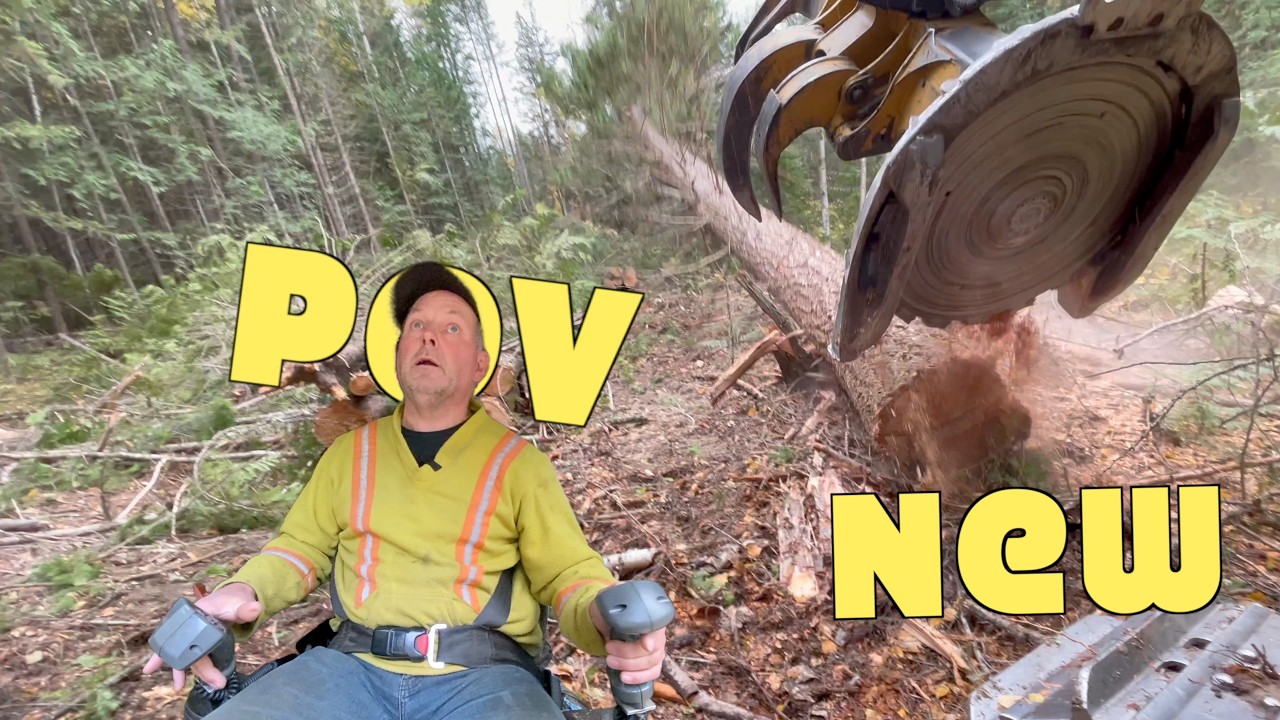 You Don’t Usually See Fall Logging Like This
