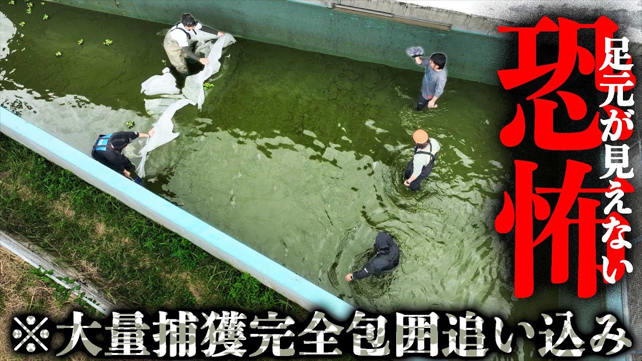 視界ゼロ『巨大な網』で大量の魚を追い込んで捕獲せよ！【５００トン水槽の水ぜんぶ抜きます！in 宮古島#3】