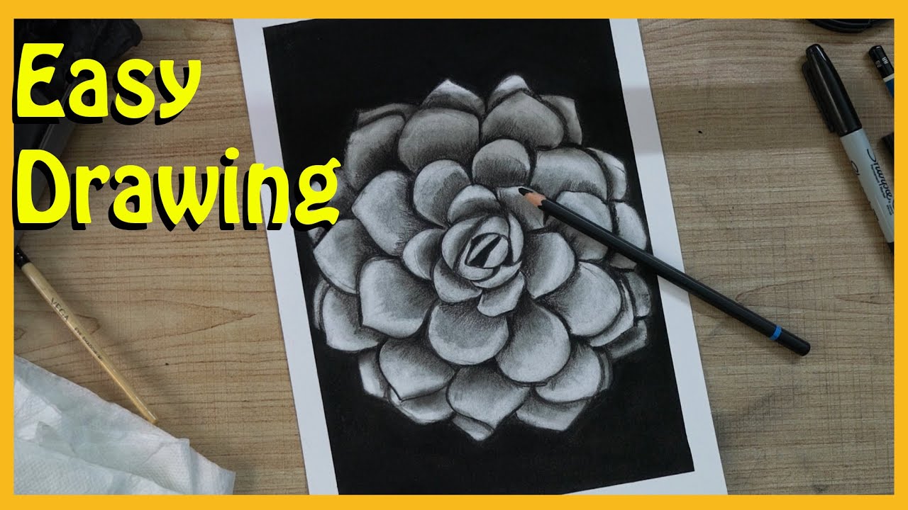 charcoal flower painting | charcoal drawing for beginners