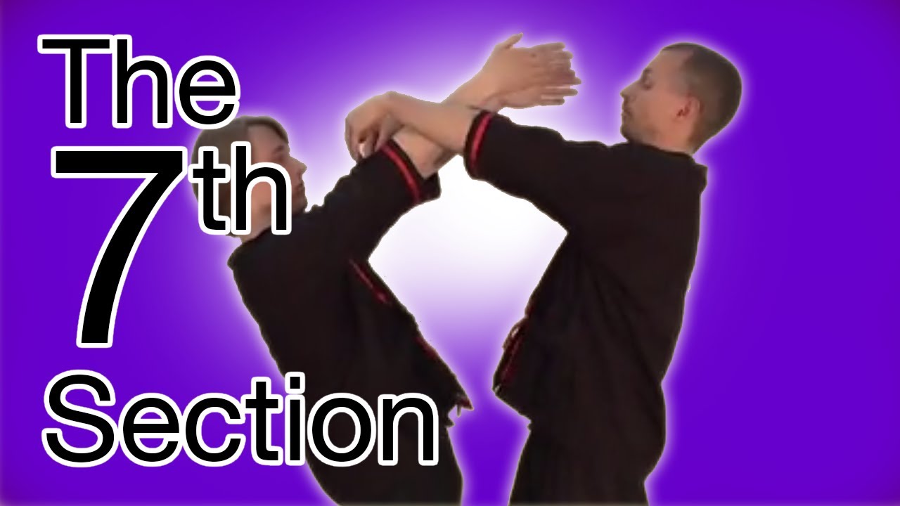 Wing Tsun 7th Chi Sau Section