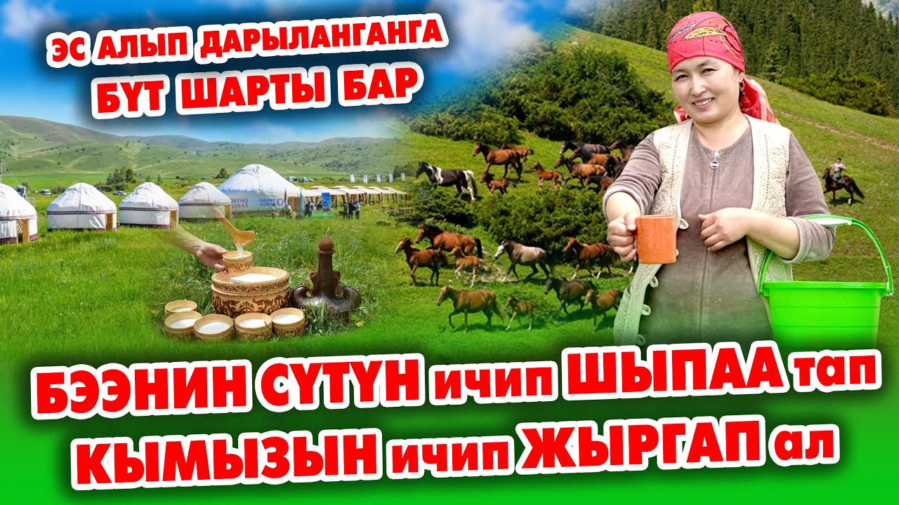 СААМАЛ ичип, ДЕН-СООЛУКТУ караңыз ~ СЕЗОН башталды ~ Ысык ТАМАК, таттуу КАЙМАК да берилет ~ КООЗ ЖЕР
