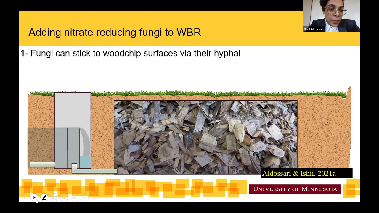 Nour Aldossari's PhD defense: Cold-adapted, nitrate-reducing, and cellulose-degrading fungi