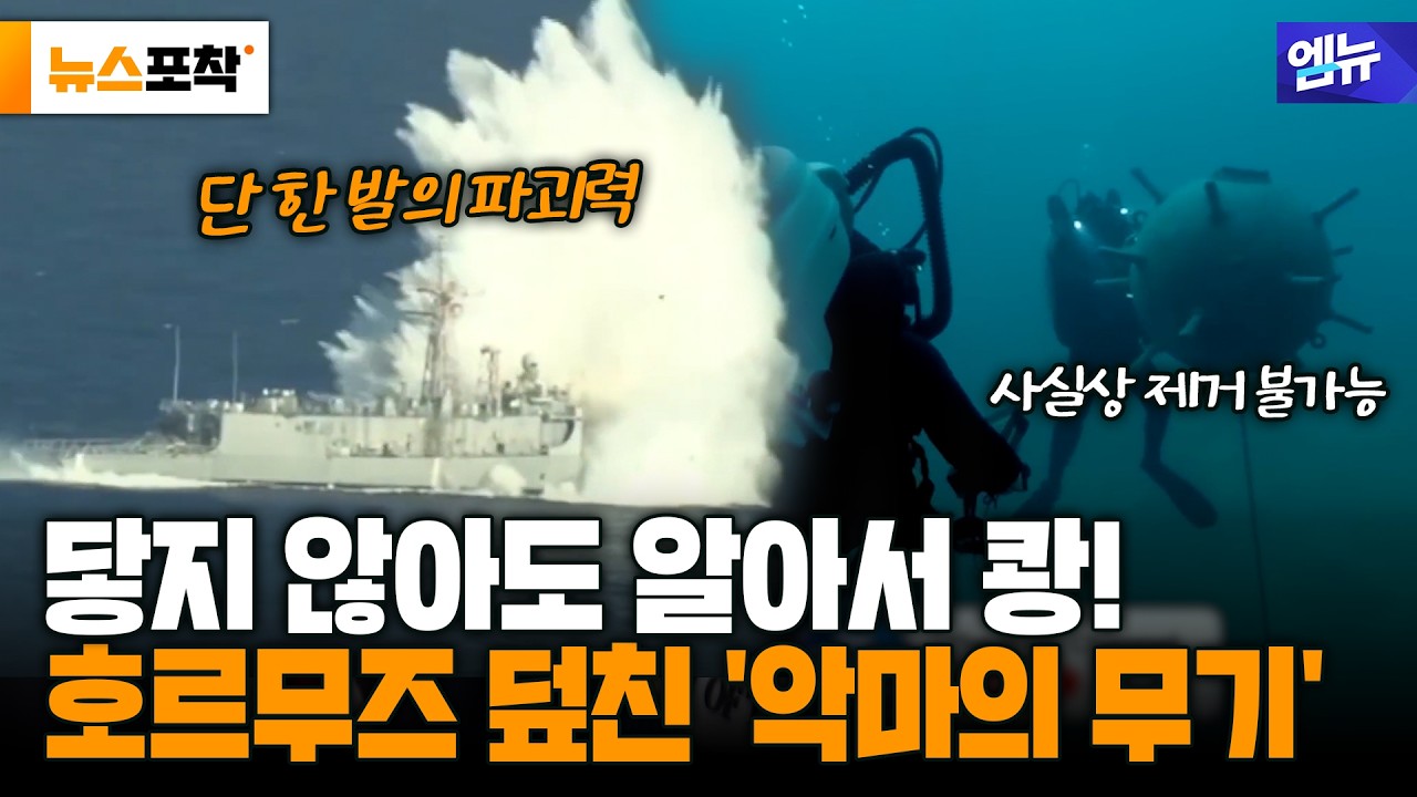 [뉴스 포착] [단독분석] 