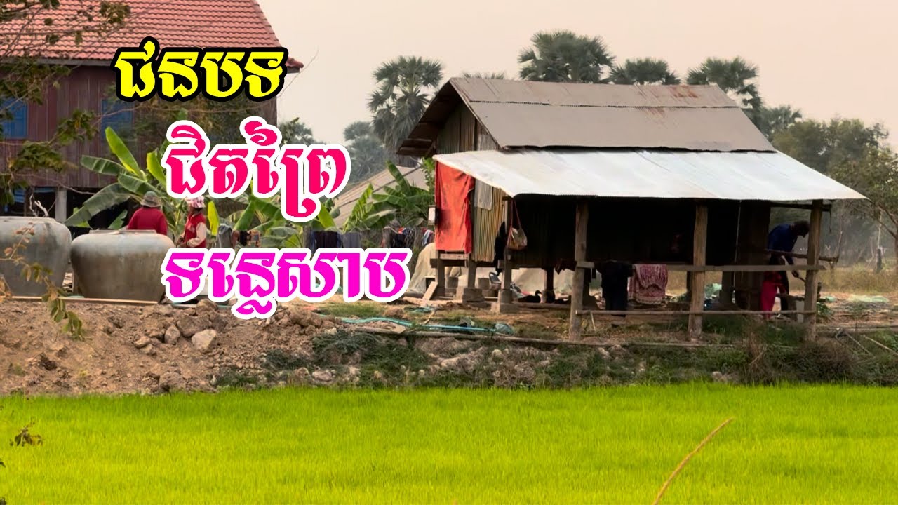 ស្ថានភាពជនបទនៅខេត្តពោធិ៍សាត់នៅខាងក្រោយជិតព្រៃទន្លេសាបមានប្រជាជនជាច្រើនរស់នៅ