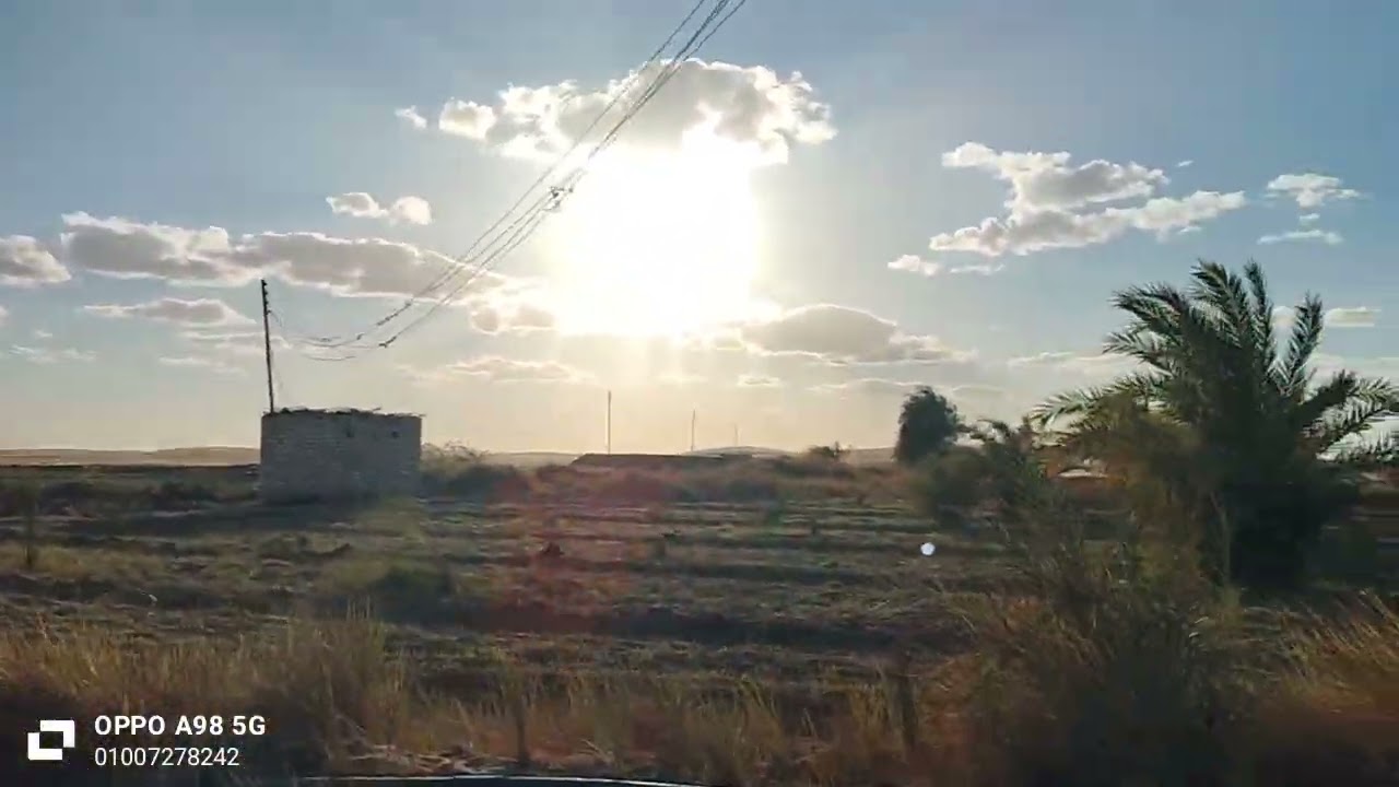 ارض زراعيه للبيع ٩ فدان ملك نهائي ٣٥٠ نخله في الوادي الجديد الخارجه01007278242 
