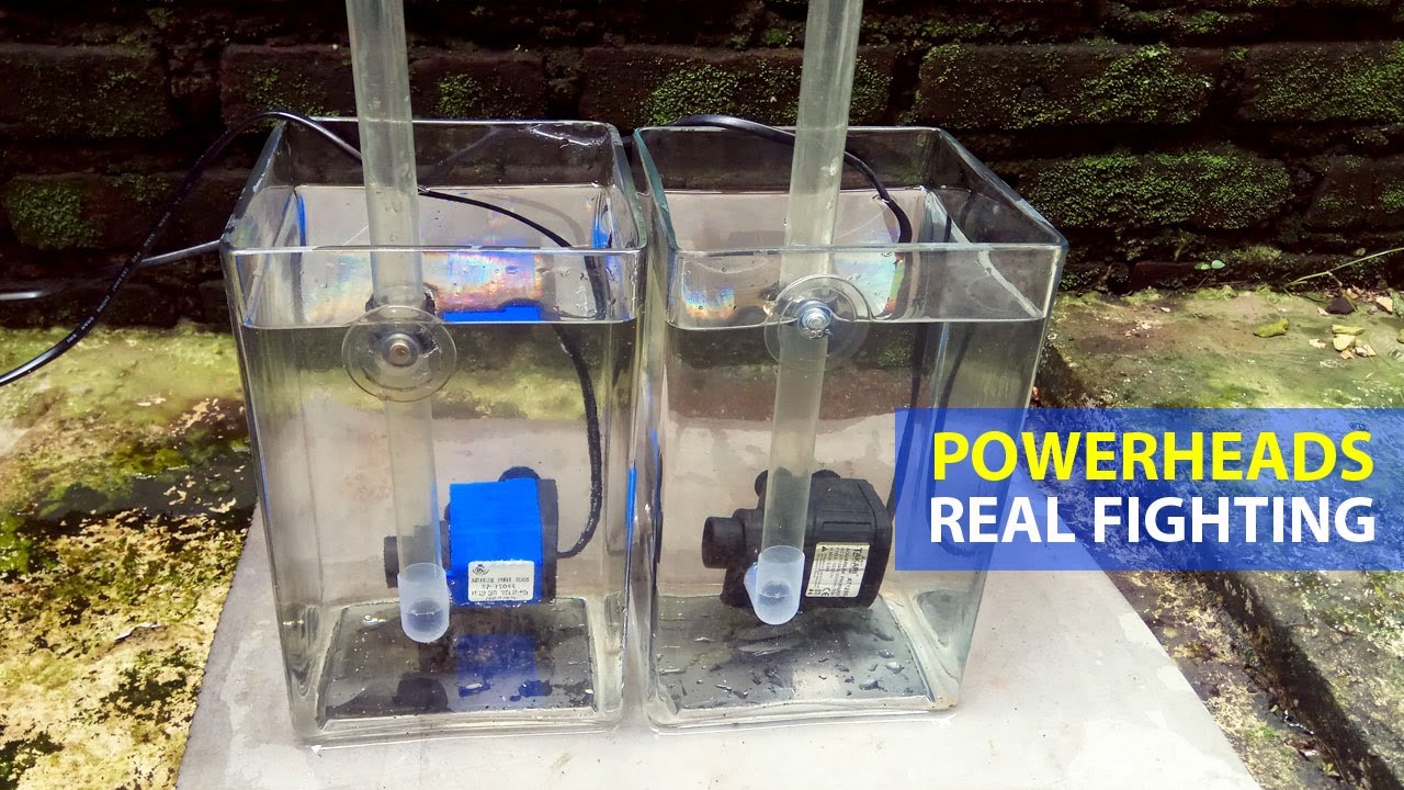 Submersible Powerheads Comparison | Real Competition