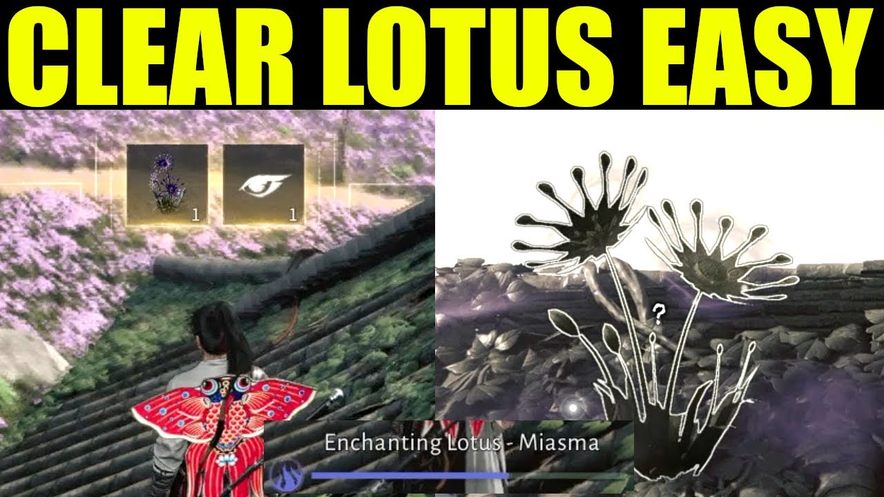 Where winds meet - how to clear enchanting lotus miasma puzzle (clear lotus flower)