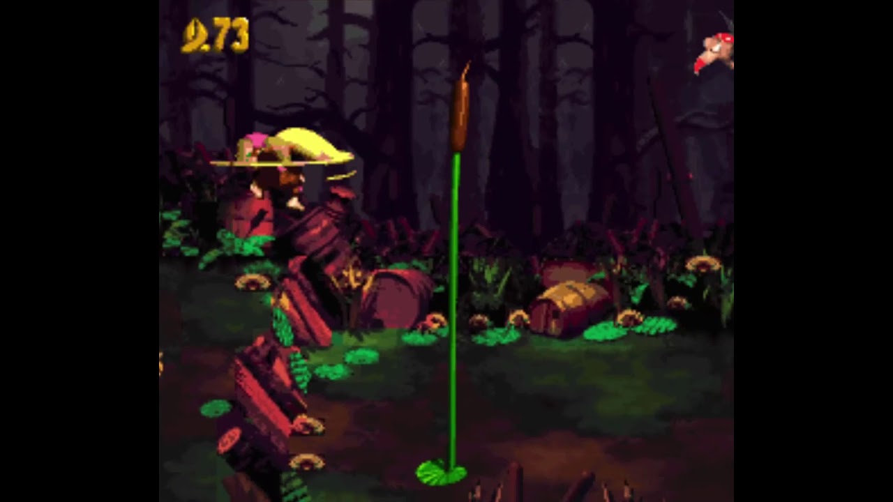 Donkey Kong Country 2: Diddy's Kong Quest- Mudhole Marsh (Bonus Coins + DK Coin Walkthrough)
