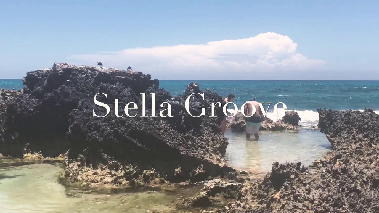 2 much 2 ask 4 - Stella Groove