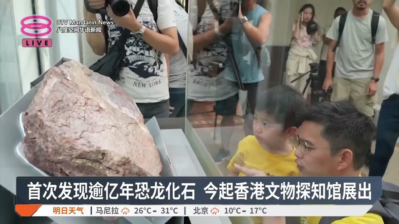 首次发现逾亿年恐龙化石  今起香港文物探知馆展出【2024.10.25 八度空间华语新闻】