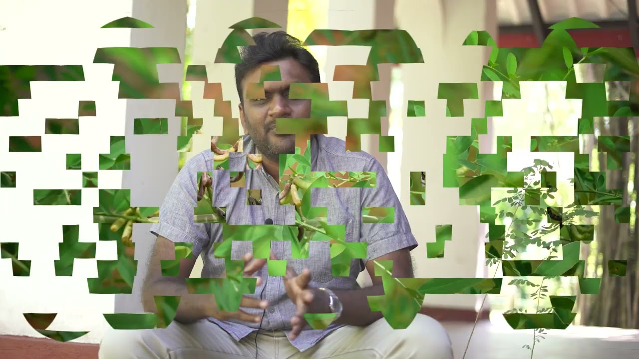 නිල් අවරිය වගාව