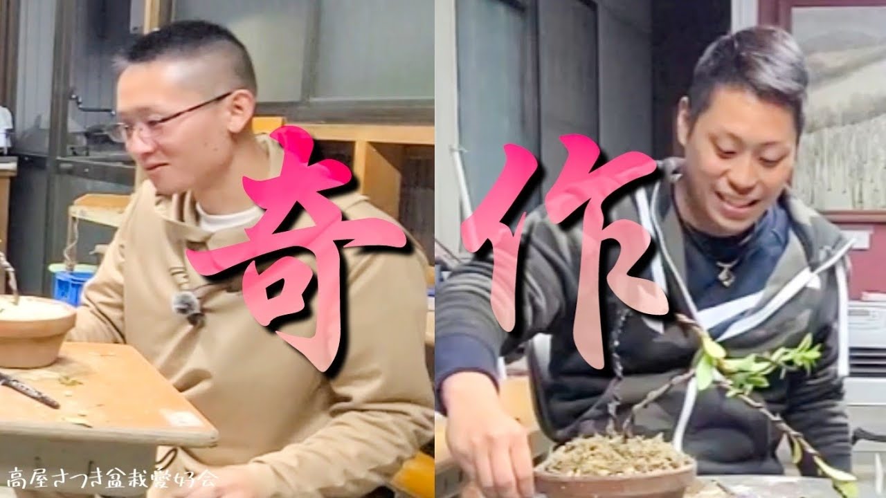 驚き桃の木山椒の木