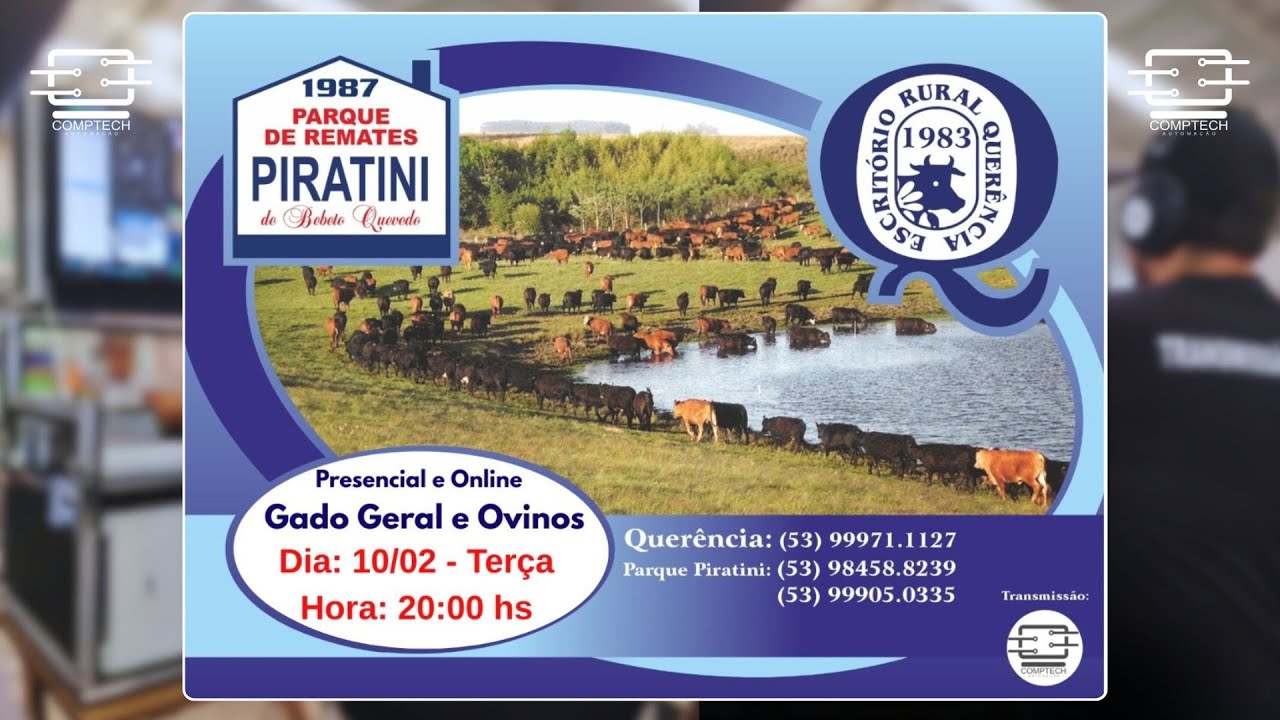GADO GERAL E OVINOS | ESCRITÓRIO RURAL QUERÊNCIA - 10/02/2026 - 20H