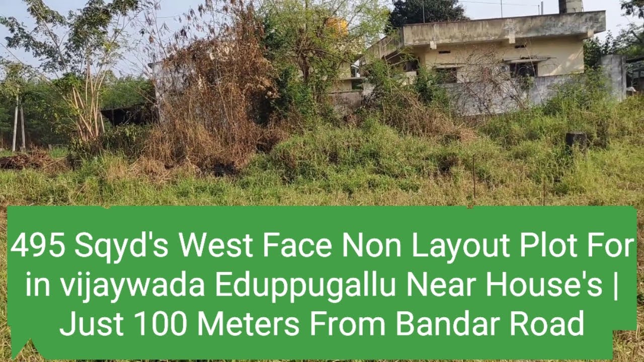 495 Sqyd's West Face Non Layout Plot For in vijaywada Eduppugallu Near Houses, 100 Meters Bandar R/d