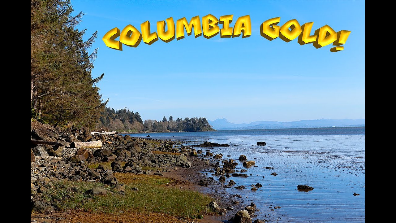 Does the Columbia River have Gold?