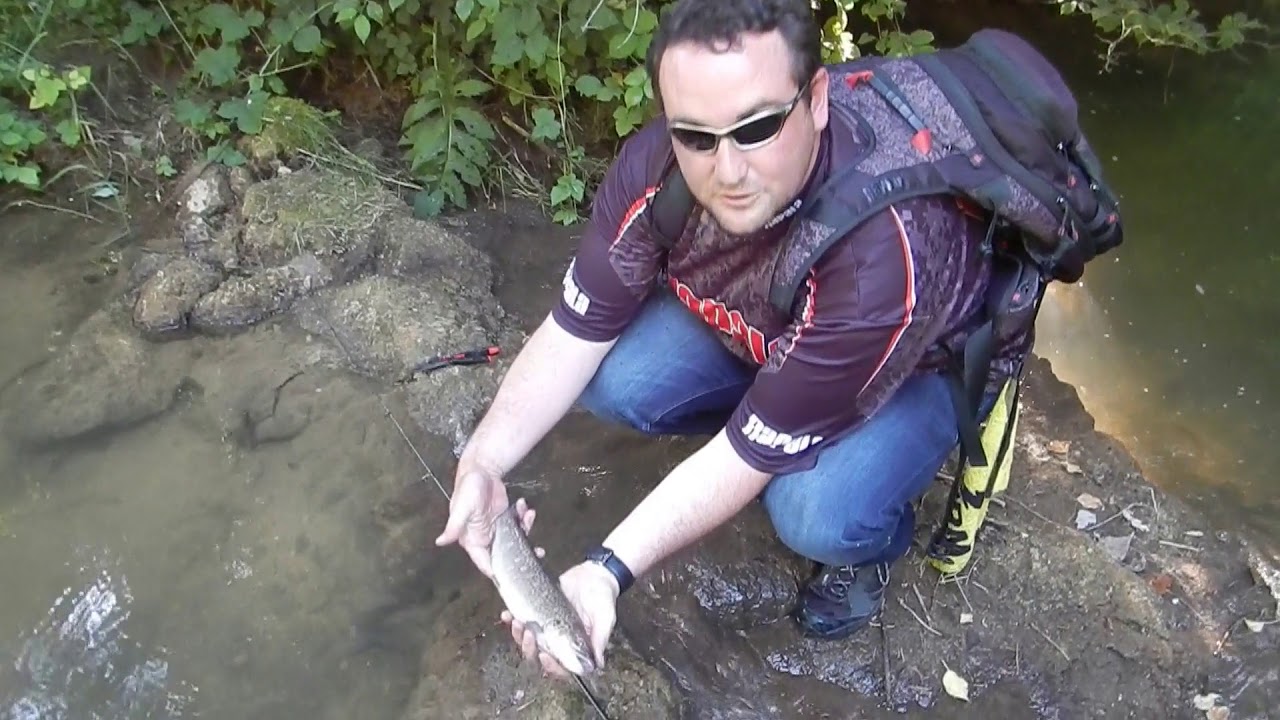 Peche de la truite au leurre en été en HD