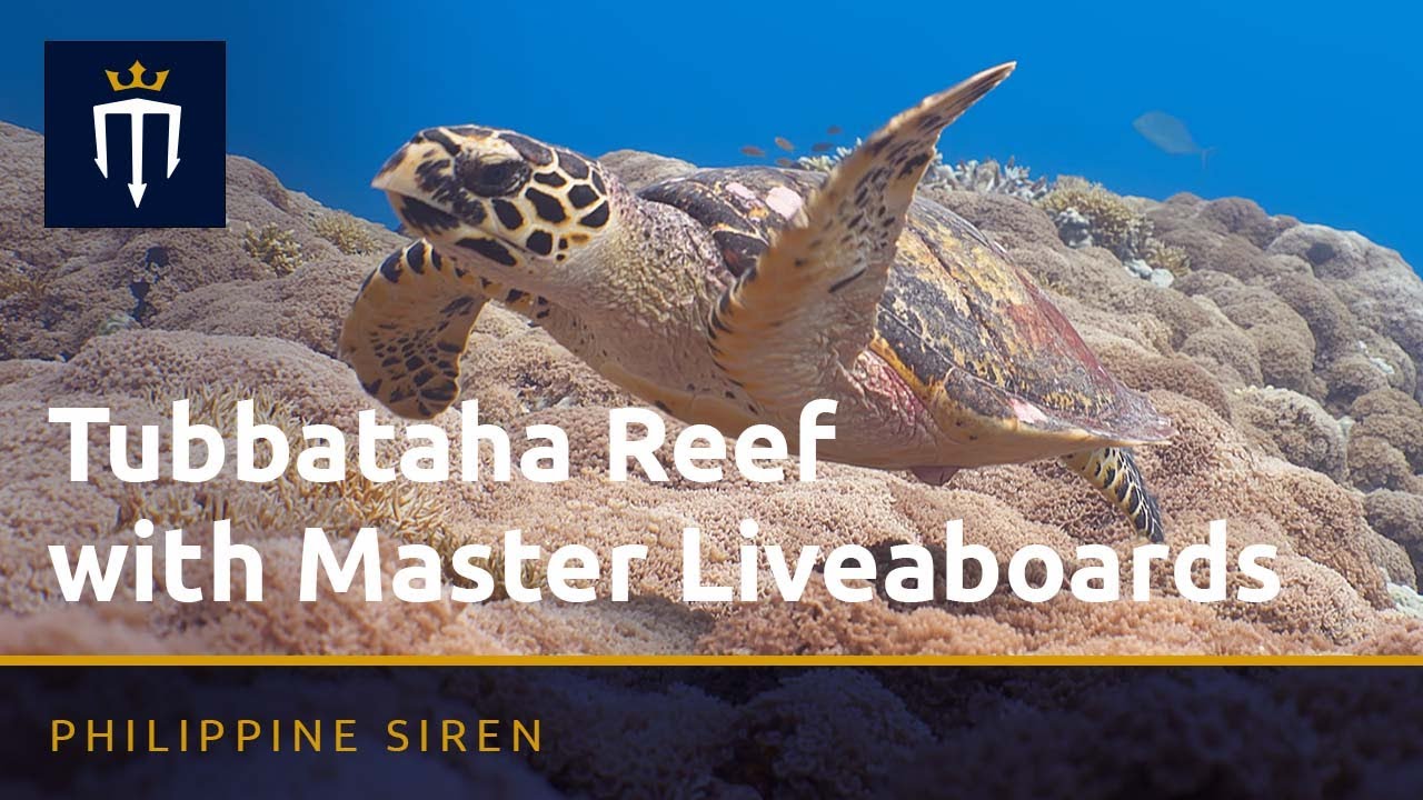 Tubbataha Reefs Natural Park with Philippine Siren