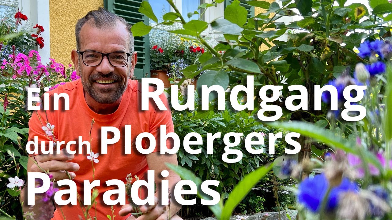 Ein Rundgang durch Karl Plobergers sommerliches Gartenparadies