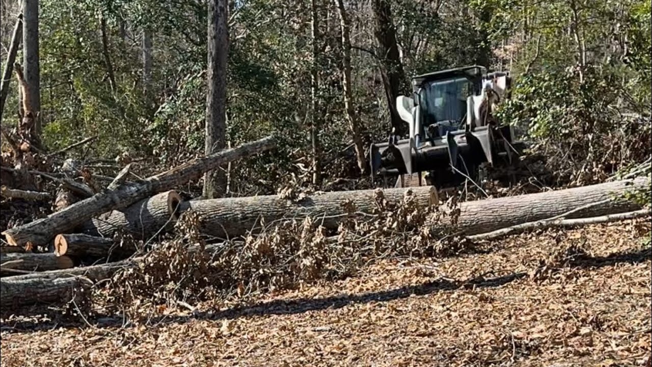 This Road Way is Completely Blocked by Storm Debris.