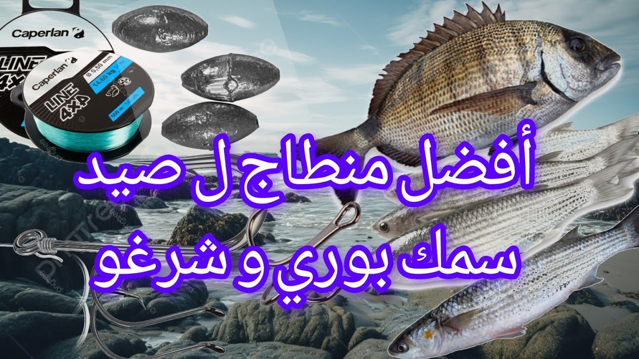 🚨أفضل منطاج لصيد سمك بوري🐟و شرغو ✅️