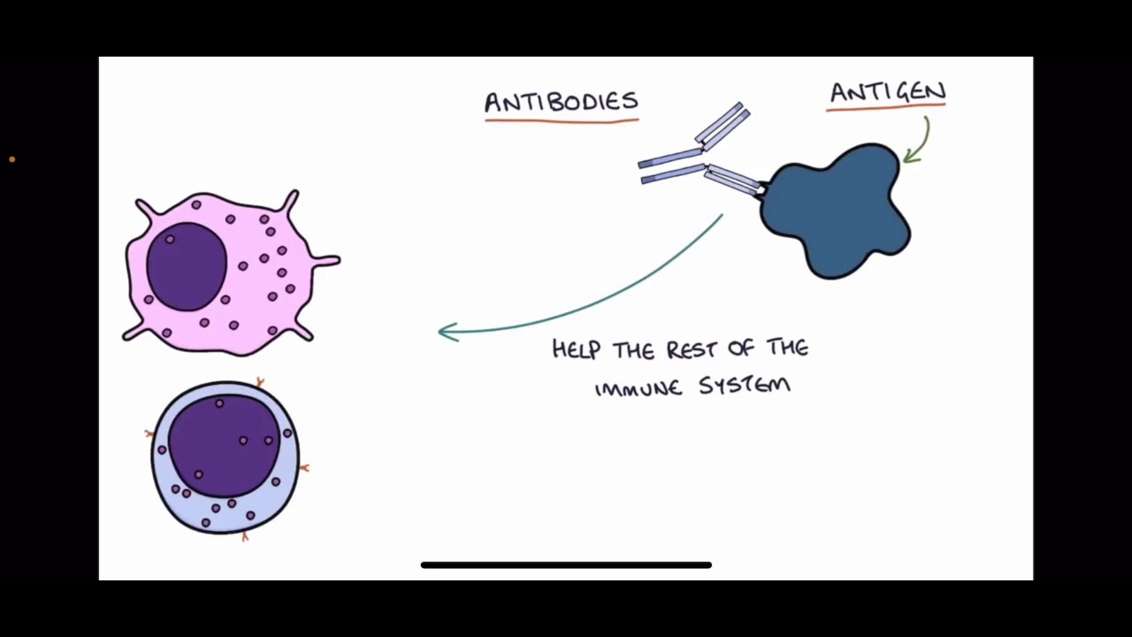 Hepatitis B virus rtl233v mutation and resistance to adefovir