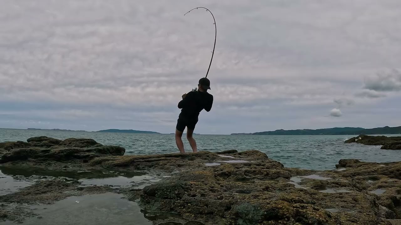 Fishing Fight