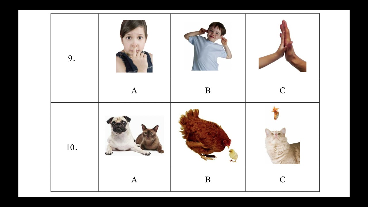Chinese Test Kids YCT 1 Y11004 汉语水平考试 YCT样卷听力Y11004