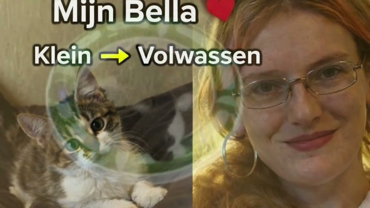 Je gelooft niet hoe klein Bella was… kijk hoe groot ze nu is 🐾