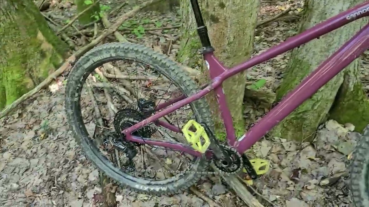 1 month of ownership report on the Cannondale Habit HT 2