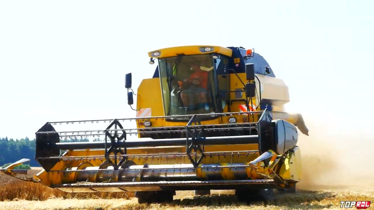 🇵🇱㋡ ŻNIWA 2024 !🌾Bezorkowy Siew Gryki po Zbiorze / Rozpoczęcie Żniw na Opolszczyźnie🔥📷☆Top-Rol ☆🚜